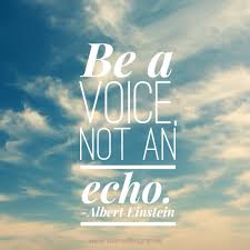 Be a voice not an echo