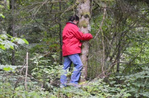 JURA 2014 Jacques enlace un arbre