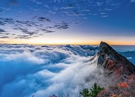 阿雪雪写真资源合集下载 94套 228GB